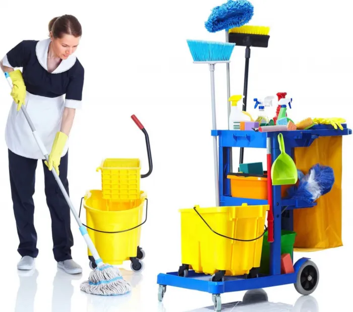 Sản phẩm loi ich thue giup viec — Công Ty TNHH Giúp Việc Hồng Doan — MST 0108026003