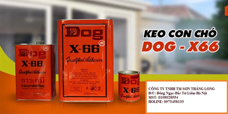 Sản phẩm dog2 800x400 — Keo Silicone Sơn Thăng Long - Công Ty TNHH TM Sơn Thăng Long — MST 0108028554