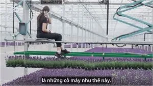 Sản phẩm Nong nghiep 6 300x169 — Công Ty TNHH Sáng Tạo Và Phát Triển Công Nghệ Mới Natech — MST 0108029131