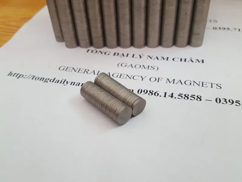 Sản phẩm Nam cham chiu nhiet 350 do c — Công Ty TNHH GMT VINA — MST 0108032991