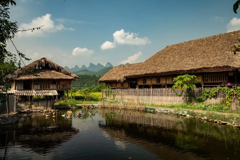 Sản phẩm nhatremaila — Công Ty TNHH Đầu Tư XD TM Và DV Sản Xuất Đồ Nội Thất Tre Trúc Hảo Hảo — MST 0108043312