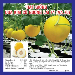 Sản phẩm hat giong dua kim co nuong lai f1 va.70 — Công Ty TNHH Nghiên Cứu Phát Triển Nông Nghiệp Việt Nam — MST 0108045662