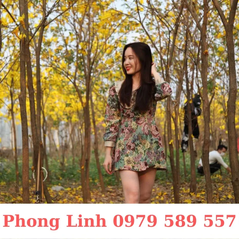 Sản phẩm cay phong linh vang 5 — Công Ty TNHH Nghiên Cứu Phát Triển Nông Nghiệp Việt Nam — MST 0108045662