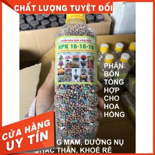 Sản phẩm phan bon nkp 16 16 16 nhap khau 4 — Công Ty TNHH Nghiên Cứu Phát Triển Nông Nghiệp Việt Nam — MST 0108045662