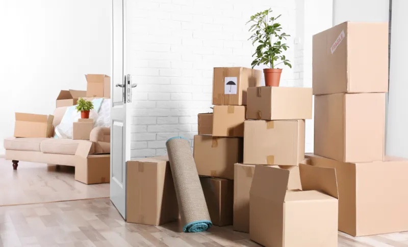 Sản phẩm cn e1641960311792 — Công Ty TNHH Thế Chiến — MST 0108068074