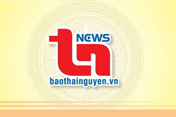 Sản phẩm bao thai nguyen — Công Ty Cổ Phần Govi Việt Nam — MST 0108075610