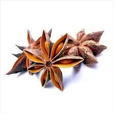 Sản phẩm hoi — Công Ty Cổ Phần Quốc Tế Trường Long phát — MST 0108092045
