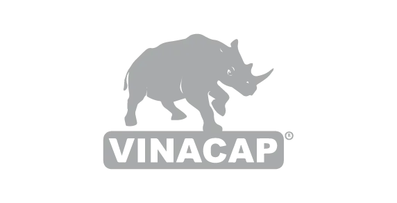 Sản phẩm Vinacap Vdesign Clients — Công Ty CP Vdesign R&D — MST 0108097942
