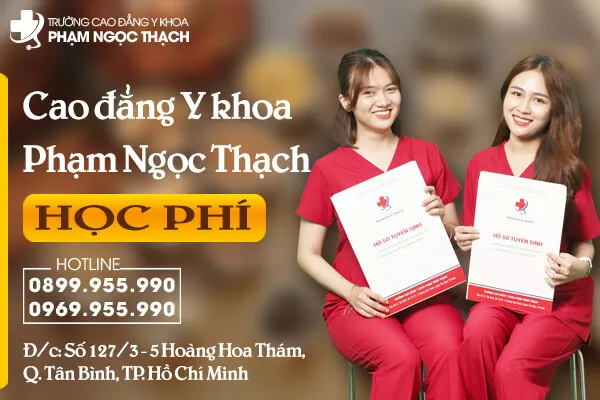 Sản phẩm share hoc phi cao dang y khoa pham ngoc thach 1712910679 — Trường Cao Đẳng Y Khoa Phạm Ngọc Thạch — MST 0108105664