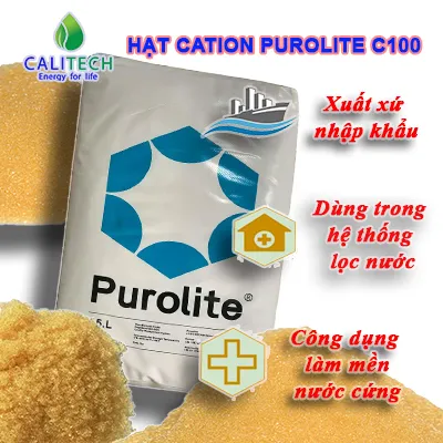 Sản phẩm Hat Cation Purolite C100 1 — Công Ty TNHH CALITECH — MST 0108164684