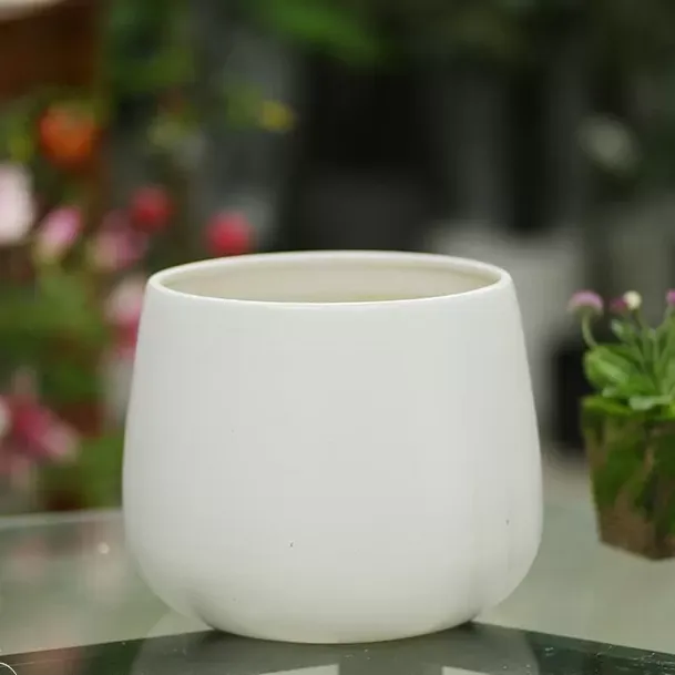 Sản phẩm DE BAN 2.jpg — Công Ty TNHH Cảnh Quan Trịnh Thập — MST 0108236265