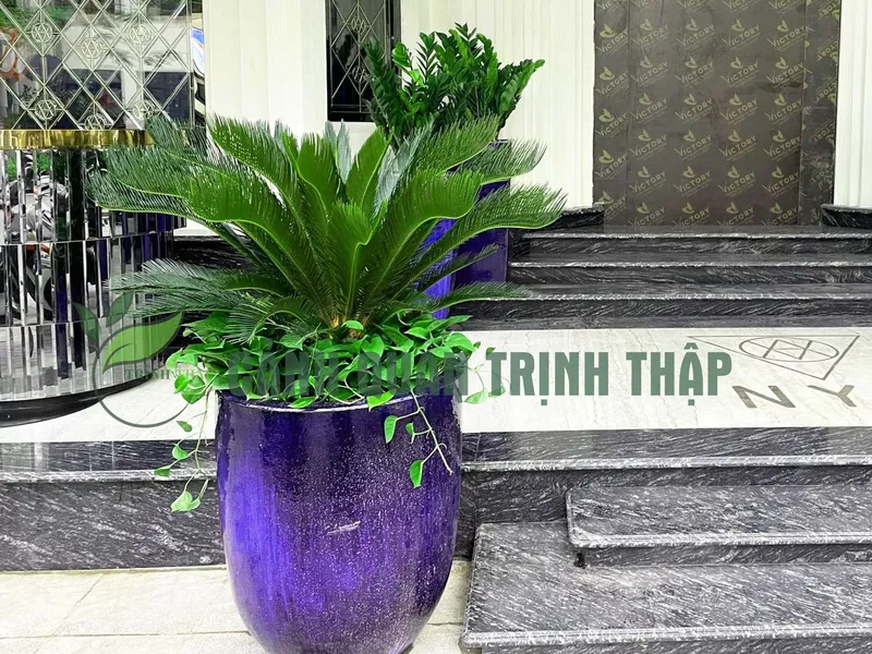 Sản phẩm van tue 1.1.jpg — Công Ty TNHH Cảnh Quan Trịnh Thập — MST 0108236265