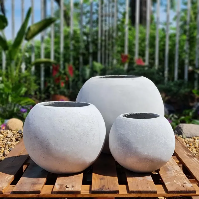 Sản phẩm z3802034254895_5576150db24bd26dad495978eceb81b2.jpg — Công Ty TNHH Cảnh Quan Trịnh Thập — MST 0108236265