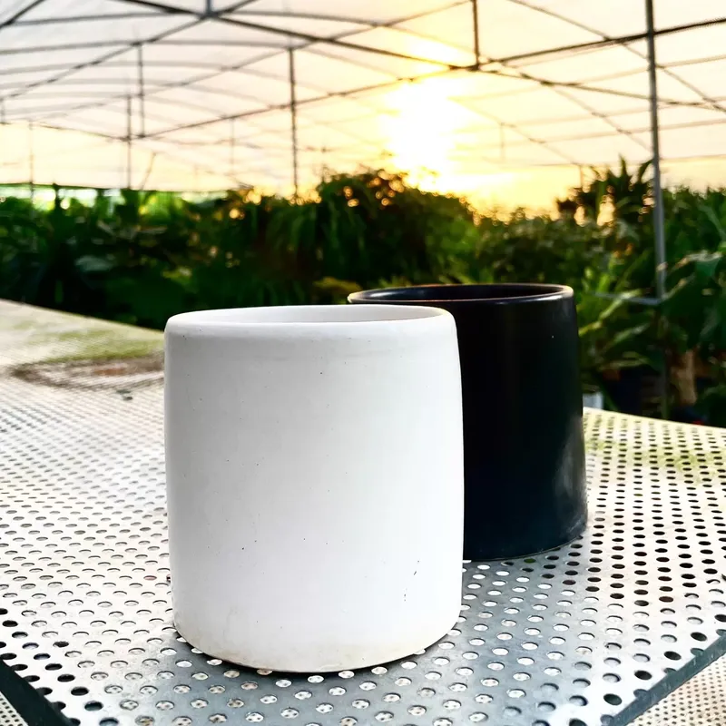 Sản phẩm z3805635144016_e419ed16725802fcae52a9379d706e44.jpg — Công Ty TNHH Cảnh Quan Trịnh Thập — MST 0108236265
