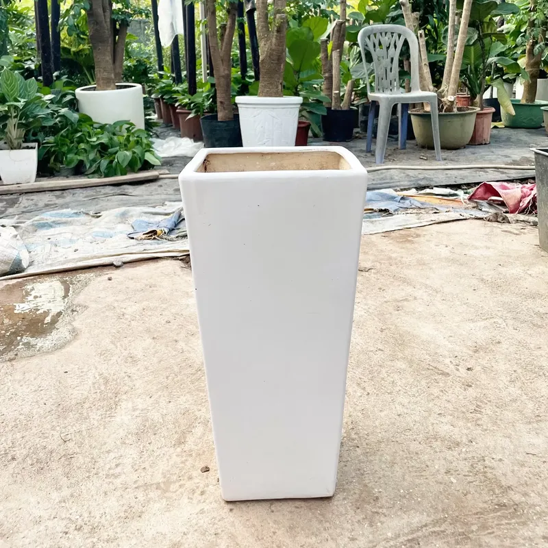 Sản phẩm z3805635694366_dd2c64f130516066cb9112ef40358bc1.jpg — Công Ty TNHH Cảnh Quan Trịnh Thập — MST 0108236265
