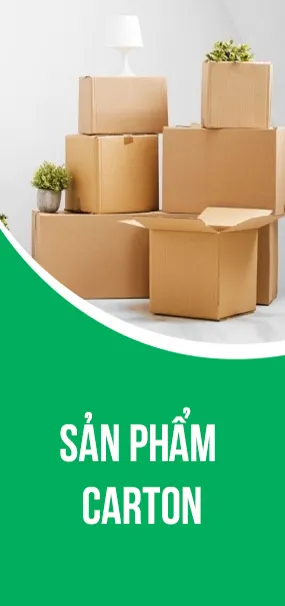 Sản phẩm san pham carton 1 2 — Công Ty TNHH Phát Triển Công Nghiệp Phú Thái — MST 0108241882