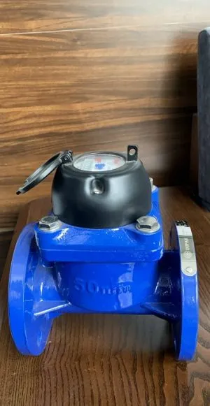 Sản phẩm Đồng hồ nước mặt bích Dupna Malaysia 300x581 — Công Ty Cổ Phần Thương Mại Và Kỹ Thuật An Việt Phát — MST 0108254641