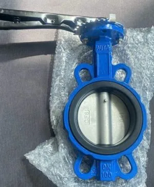 Sản phẩm Van bướm tay gạt AUTA. 300x365 — Công Ty Cổ Phần Thương Mại Và Kỹ Thuật An Việt Phát — MST 0108254641