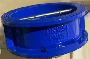 Sản phẩm Van mot chieu canh buom AUTA 300x198 — Công Ty Cổ Phần Thương Mại Và Kỹ Thuật An Việt Phát — MST 0108254641