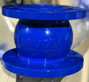 Sản phẩm Van mot chieu lo xo AUTA 300x276 — Công Ty Cổ Phần Thương Mại Và Kỹ Thuật An Việt Phát — MST 0108254641