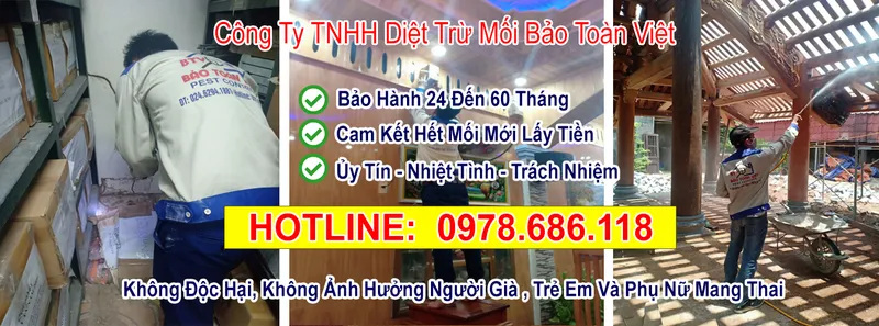 Sản phẩm 3879090 — Diệt Mối Bảo Toàn Việt - Công Ty TNHH Diệt Trừ Mối Bảo Toàn Việt — MST 0108273997