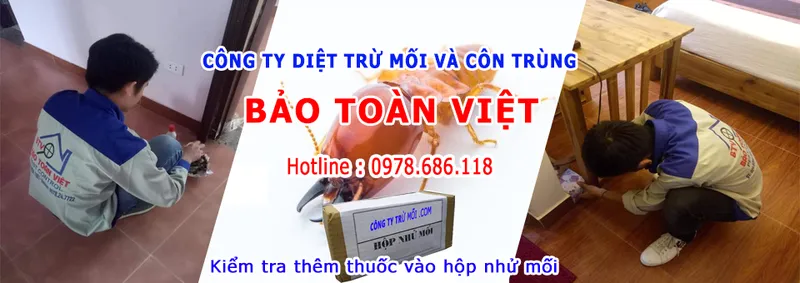 Sản phẩm 522381 — Diệt Mối Bảo Toàn Việt - Công Ty TNHH Diệt Trừ Mối Bảo Toàn Việt — MST 0108273997