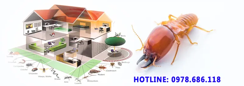 Sản phẩm 656015 — Diệt Mối Bảo Toàn Việt - Công Ty TNHH Diệt Trừ Mối Bảo Toàn Việt — MST 0108273997