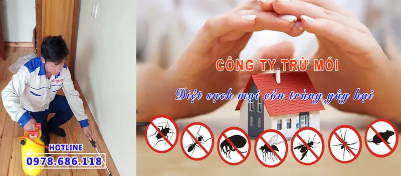 Sản phẩm 722411 — Diệt Mối Bảo Toàn Việt - Công Ty TNHH Diệt Trừ Mối Bảo Toàn Việt — MST 0108273997