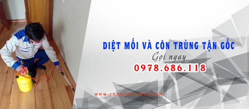 Sản phẩm 942446 — Diệt Mối Bảo Toàn Việt - Công Ty TNHH Diệt Trừ Mối Bảo Toàn Việt — MST 0108273997