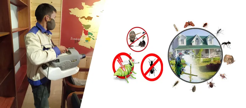 Sản phẩm 9546770 — Diệt Mối Bảo Toàn Việt - Công Ty TNHH Diệt Trừ Mối Bảo Toàn Việt — MST 0108273997