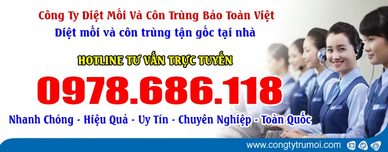 Sản phẩm 60826606 — Diệt Mối Bảo Toàn Việt - Công Ty TNHH Diệt Trừ Mối Bảo Toàn Việt — MST 0108273997