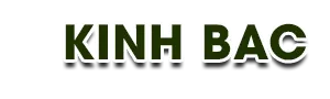 Logo Ván ép Kinh Bắc - Công Ty TNHH Đầu Tư Thương Mại Xuất Nhập Khẩu Kinh Bắc