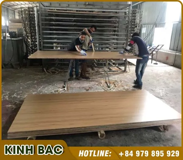Sản phẩm TVA5 — Ván ép Kinh Bắc - Công Ty TNHH Đầu Tư Thương Mại Xuất Nhập Khẩu Kinh Bắc — MST 0108277014