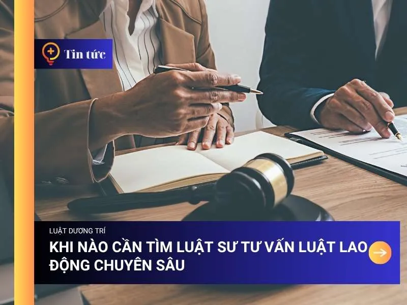 Sản phẩm khi nao can tim luat su tu van luat lao dong chuyen sau — Công Ty TNHH Tư Vấn Dương Trí — MST 0108284597