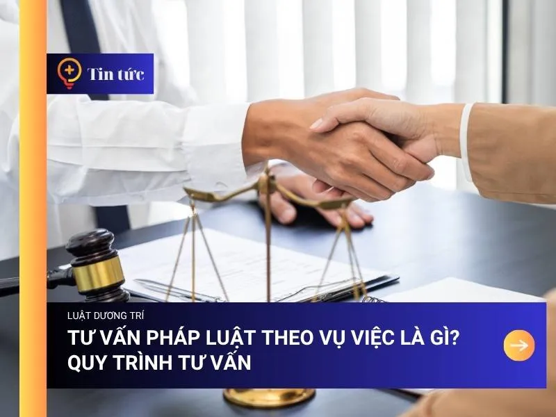Sản phẩm tu van phap luat theo vu viec 1 — Công Ty TNHH Tư Vấn Dương Trí — MST 0108284597
