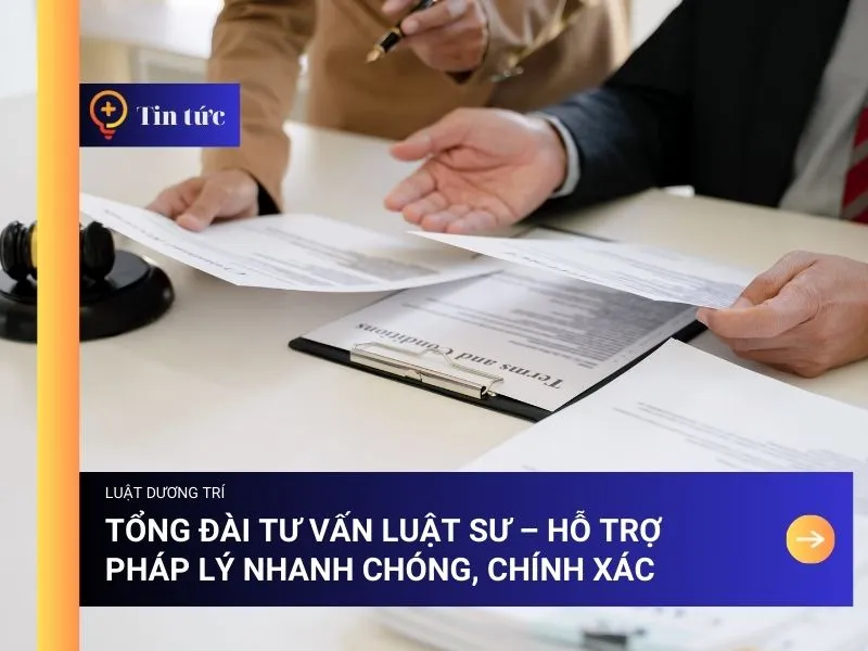 Sản phẩm van phong luat su tu van dat dai — Công Ty TNHH Tư Vấn Dương Trí — MST 0108284597