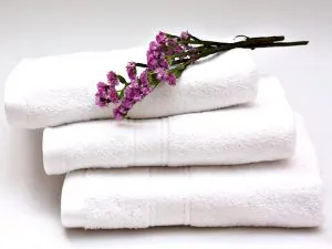 Sản phẩm a1 300x225 — Khăn Bông Tuấn Anh - Công Ty TNHH SX Dệt May Tuấn Anh — MST 0108285992