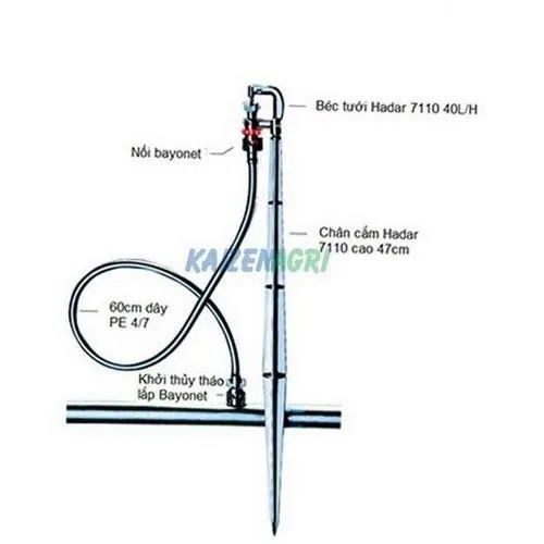Sản phẩm 53 hadar 7110 40lh 1 copy copy — Công Ty TNHH Nông Nghiệp Kaizen — MST 0108304941