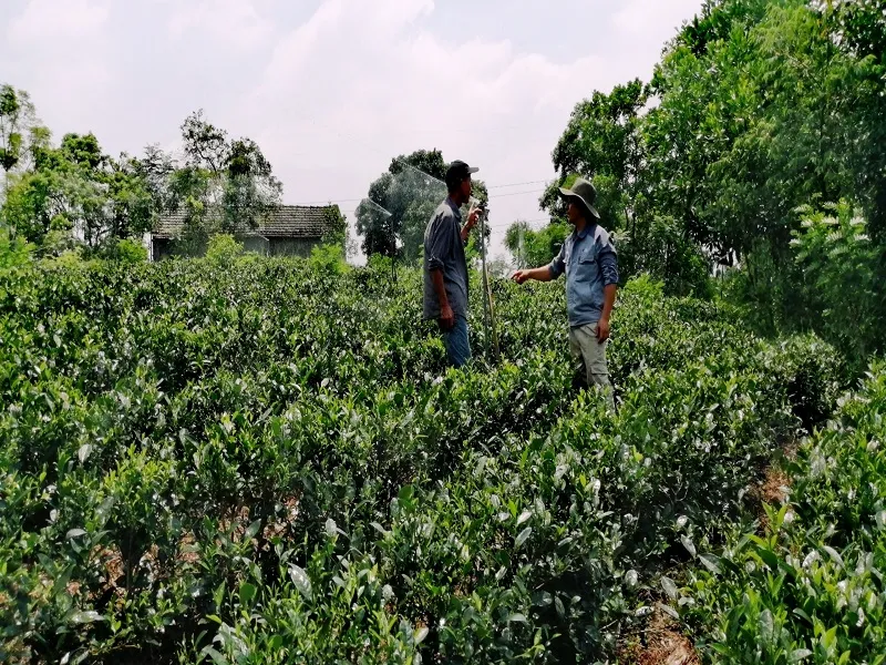 Sản phẩm doithoai — Công Ty TNHH Nông Nghiệp Kaizen — MST 0108304941