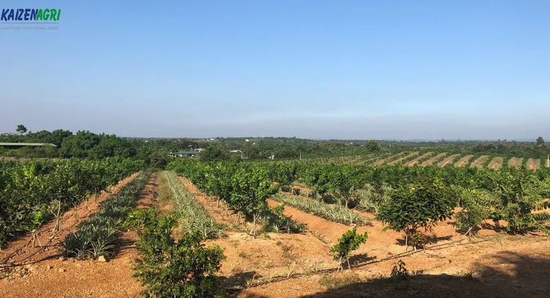 Sản phẩm thng1 — Công Ty TNHH Nông Nghiệp Kaizen — MST 0108304941