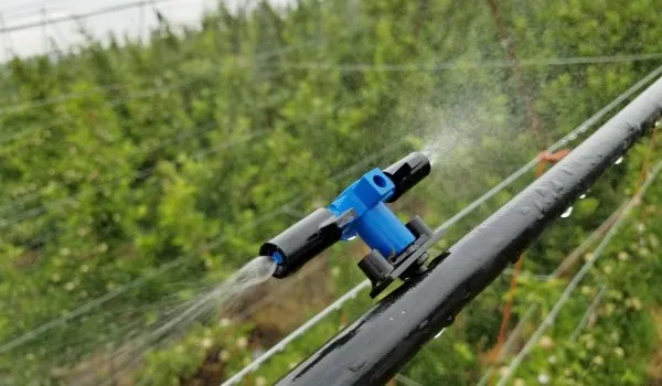 Sản phẩm d7bf9c09 5b04 4fb4 a404 3de7088f1b5f original 600x350 1 — Công Ty TNHH Nông Nghiệp Kaizen — MST 0108304941