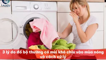 Sản phẩm 3 ly do do bo thuong co mui kho chiu vao mua nong 02 370x209 — Giặt Là Vinh Phúc - Công Ty TNHH MTV Đầu Tư Và Thương Mại Vinh Phúc — MST 0108332586