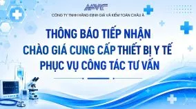 Sản phẩm z7853499149638_6487a1d14e5b88a78dba7a4863a27a0e 46201906 — Công Ty TNHH Hãng Định Giá Và Kiểm Toán Châu á — MST 0108340241