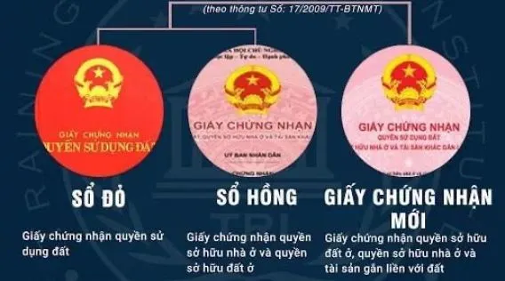 Sản phẩm z4998341699919_2b2c872f0e868366de65f84530751a95 ccaf7ff4 — Công Ty TNHH Hãng Định Giá Và Kiểm Toán Châu á — MST 0108340241