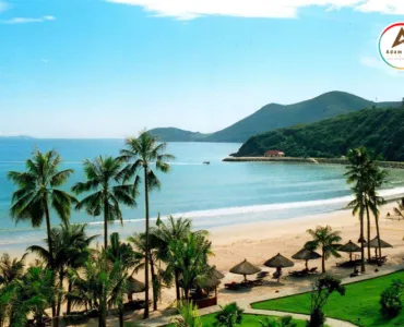 Sản phẩm haitien5 370x300 — Công Ty Cổ Phần Đầu Tư Và Phát Triển Thương hiệu AdamViet — MST 0108349822