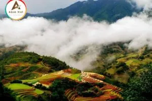 Sản phẩm sapa_result 300x200 — Công Ty Cổ Phần Đầu Tư Và Phát Triển Thương hiệu AdamViet — MST 0108349822