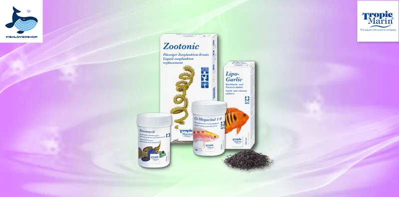 Sản phẩm slide many — Công Ty TNHH Fishlovershop — MST 0108350232