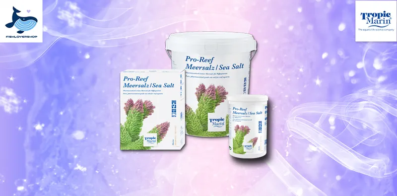Sản phẩm slide pro reef — Công Ty TNHH Fishlovershop — MST 0108350232