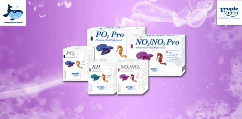 Sản phẩm slide test — Công Ty TNHH Fishlovershop — MST 0108350232