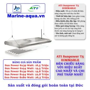 Sản phẩm ati sunpower 300x300 — Công Ty TNHH Fishlovershop — MST 0108350232